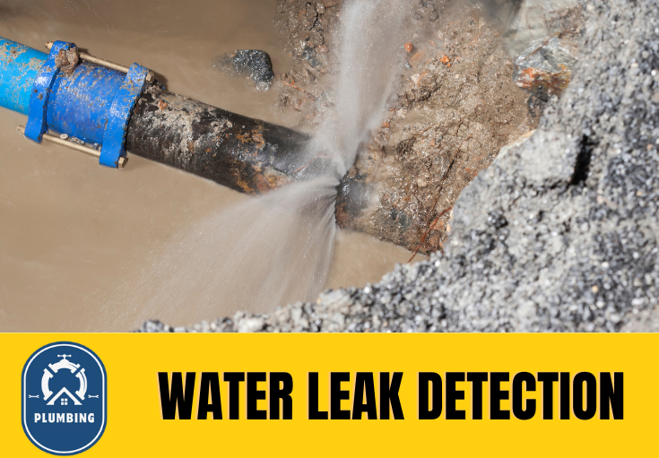 leak detection Batley